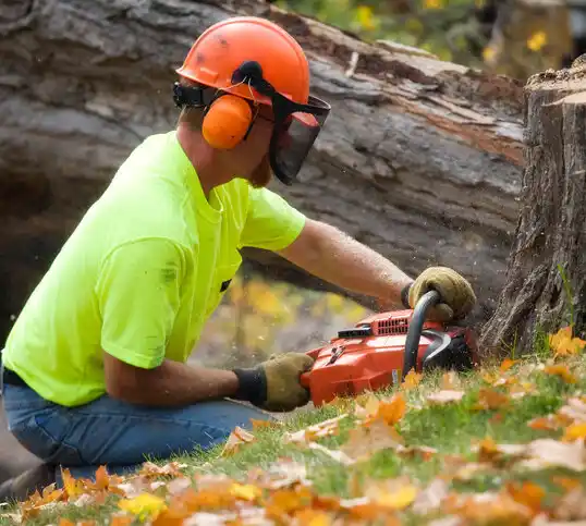 tree services Randallstown